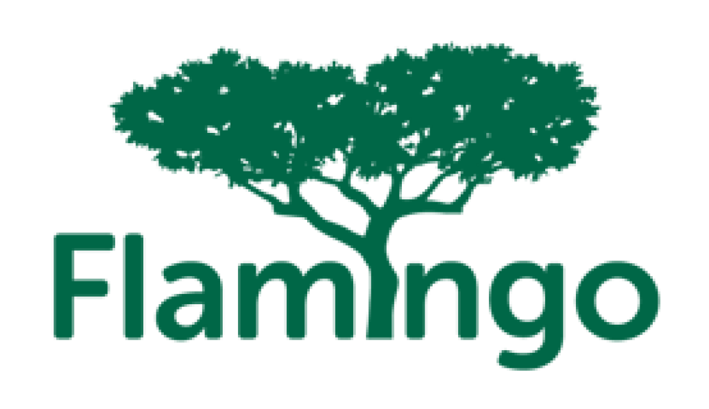 Flamingo Recruitment Day